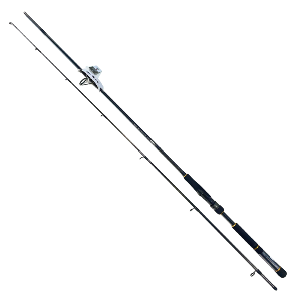 Daiwa BG Sea Bass Spinning Rod